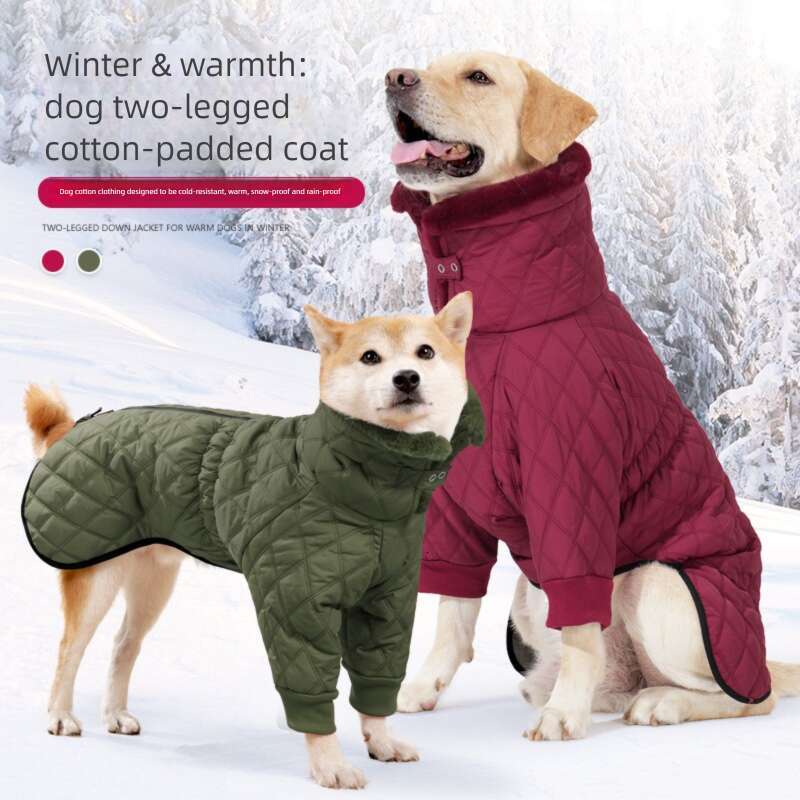Famous brand Cross border best selling new winter clothes high neck double legged windproof warm cotton coat British style gentleman dog clothing pupa