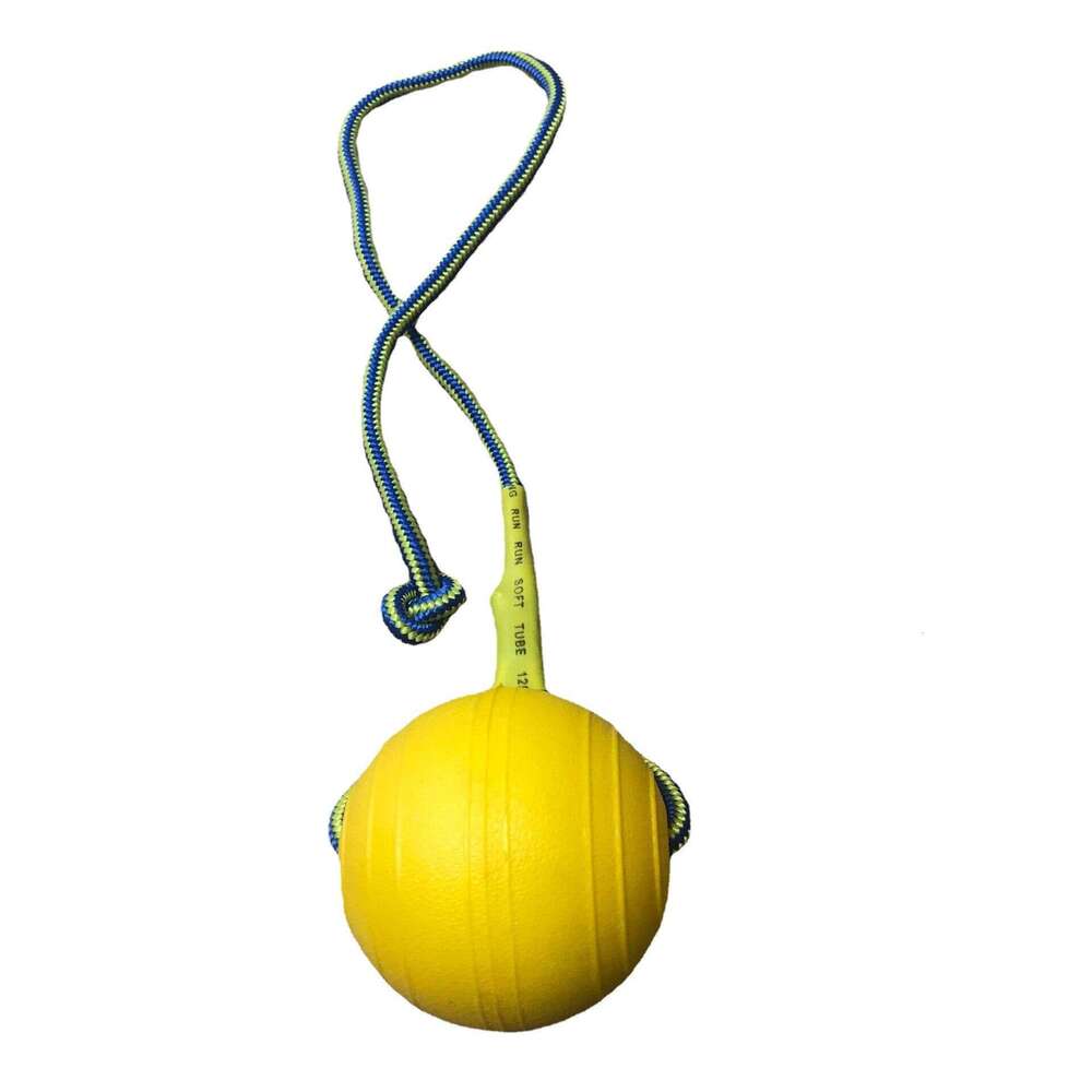 Factory Direct Cross-Border New EVA Pet Tug-of-War Toy Frisbee with Rope Outdoor Dog Training Ball