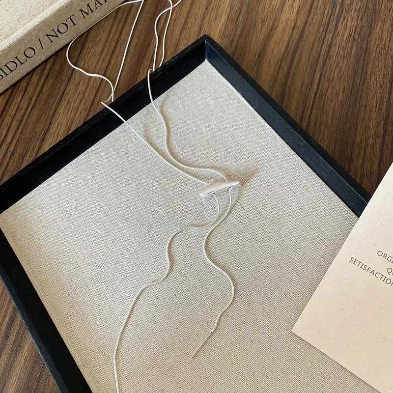 Minimalist Silver Color Matte Snake Bone Chain Necklace for Women Fashion Adjustable Long Sweater Chain Neck Jewelry 260208
