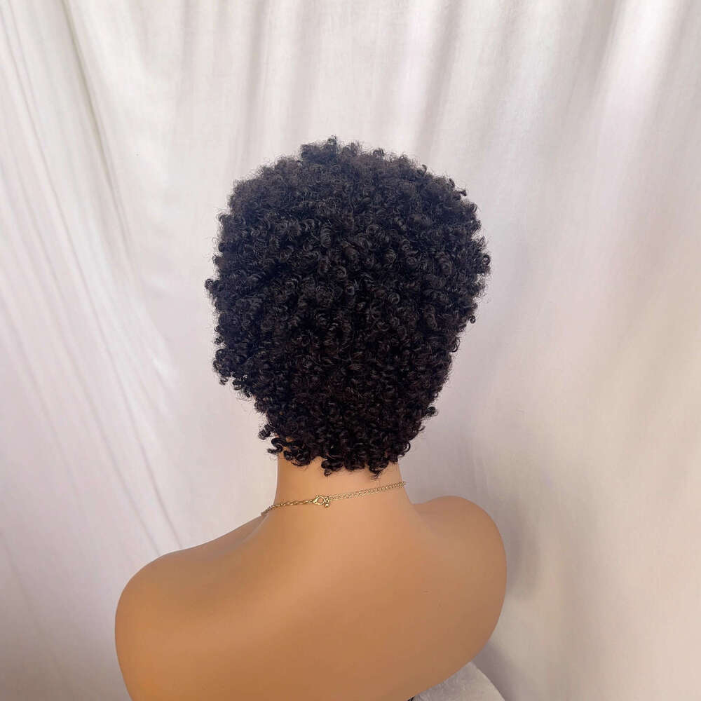 2026 Real Human Hair Lace Front Wig, African Small Curls 13*4 Caterpillar Style SHXI