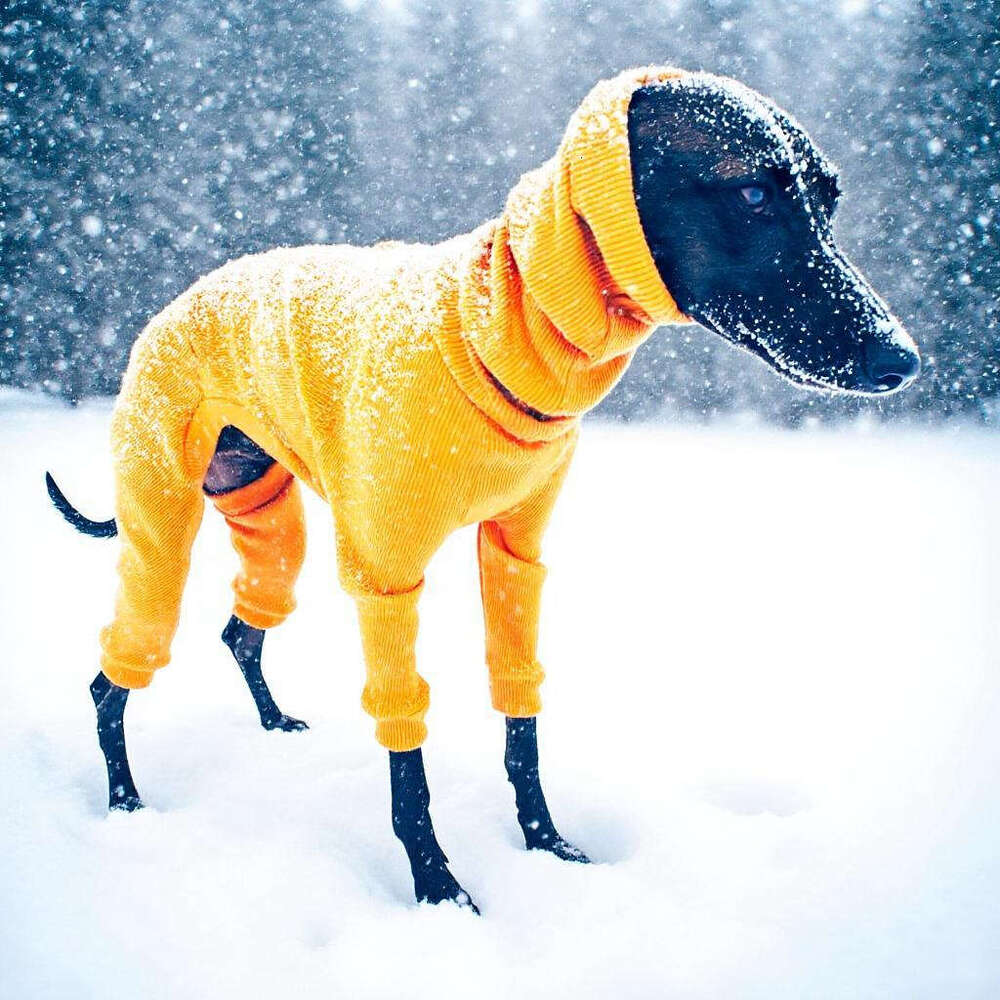 Cross border European American foreign trade solid color autumn and winter fashion pet four legged outfit with high collar slim fit ribbed warm dog pu