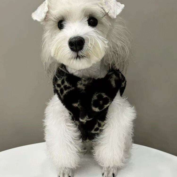 Famous brand Dog Winter Warm Clothes Schnauzer French Bulldog Teddy Bichon Trendy Small Medium Dogs Smoked Fur Coat pupakaIK