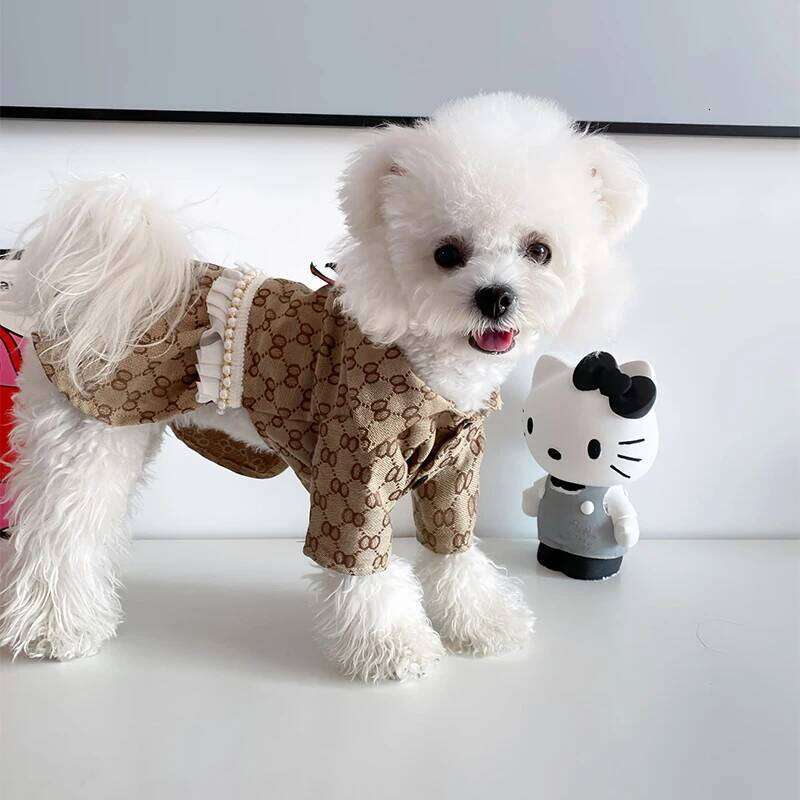 Spring Autumn Girl Cat Princess Dress Men's Shirt Puppy Medium Dog Chihuahua Skirt Luxury Pet Clothes Plus Size Women's Clothing - view 4