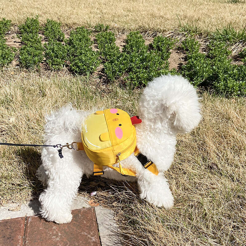 Pet Carrier Snap Button Closure Cute Bee Costume Small Dogs, Lightweight & Secure Dog Backpack With Leash Attachment, Hands-Free Walking Bag Pomerania