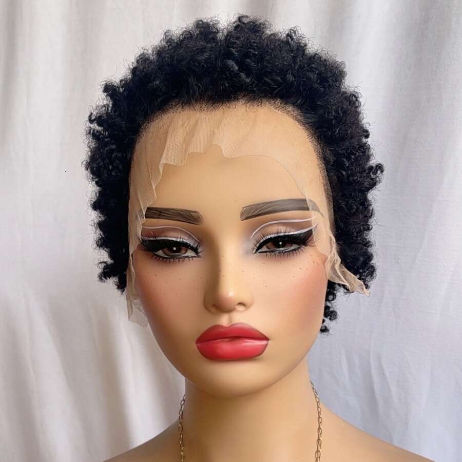 2026 Real Human Hair Lace Front Wig, African Small Curls 13*4 Caterpillar Style SHXI