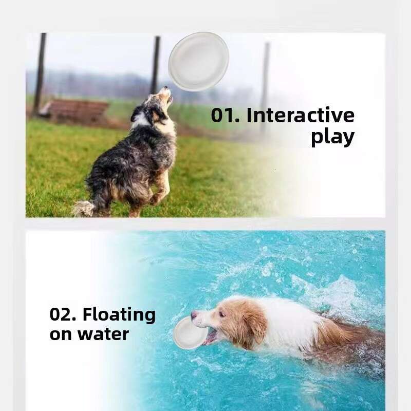 Luminous New Dog Training Pull Ring Pet Toy Outdoor Interactive Soft EVA Material Manufacturer Wholesale