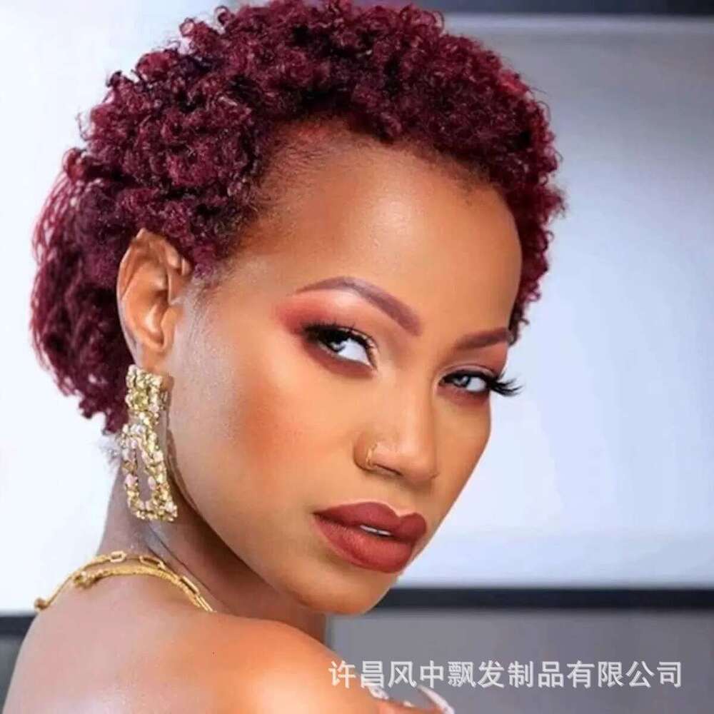 African Wig, Foreign Trade Pixie Curly Wigs SHXI