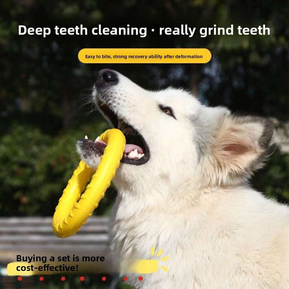 Set of Dog Toys Durable EVA Floating Puppy Chew Balls Pet Boredom Relief Training