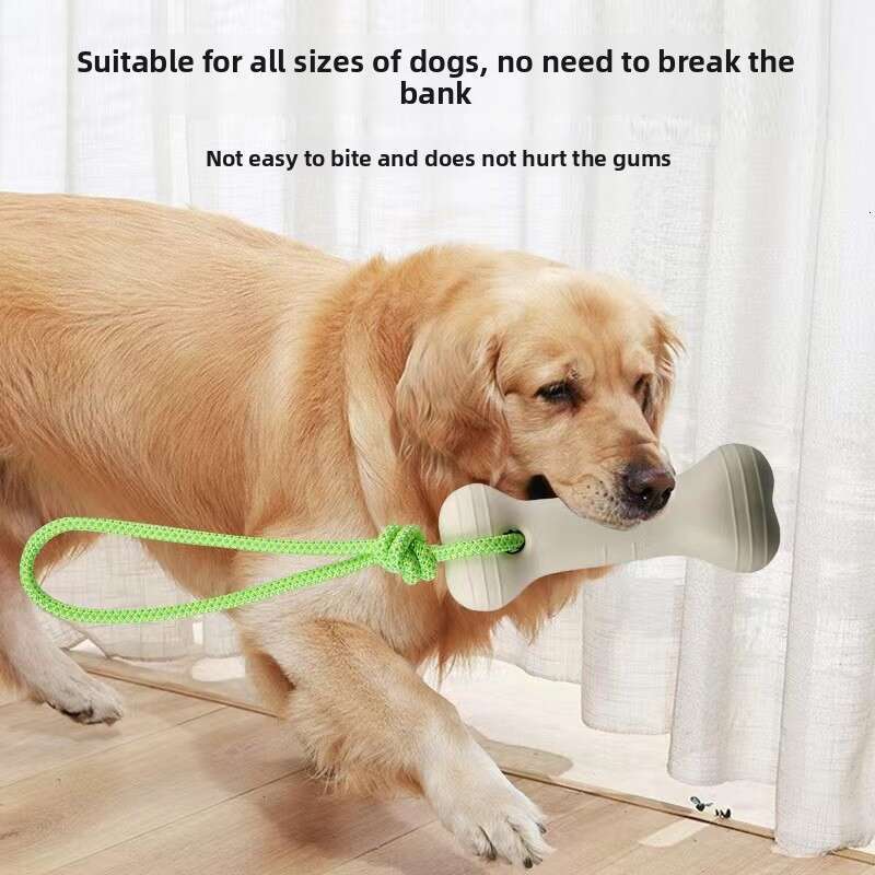 New Cross-Border Dog Training Luminous Bone with Rope Pet Toy Outdoor Sports Interactive Manufacturer Wholesale