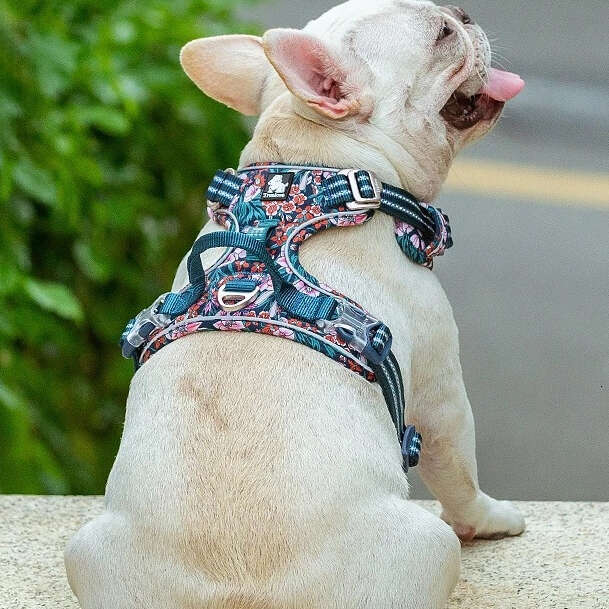 Truelove Pet Harness Small Medium Large Split Dog Fashion Outdoor Dropshipping Bamubi