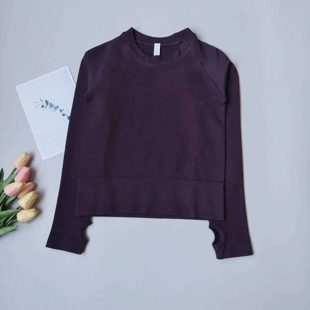 Slim Fit Quick Dry Training Top, Women's Round Neck Long Sleeve Yoga Shirt, Professional Workout Wear 26Y0224