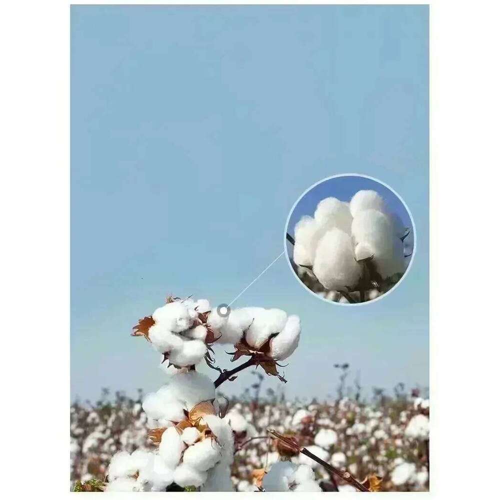 Dont Push The Horses Funny Meme Quote for Sarcastic Minds T-shirt Men Women Cotton T Shirts Short Sleeve Tops Y2k 2026 New H260224