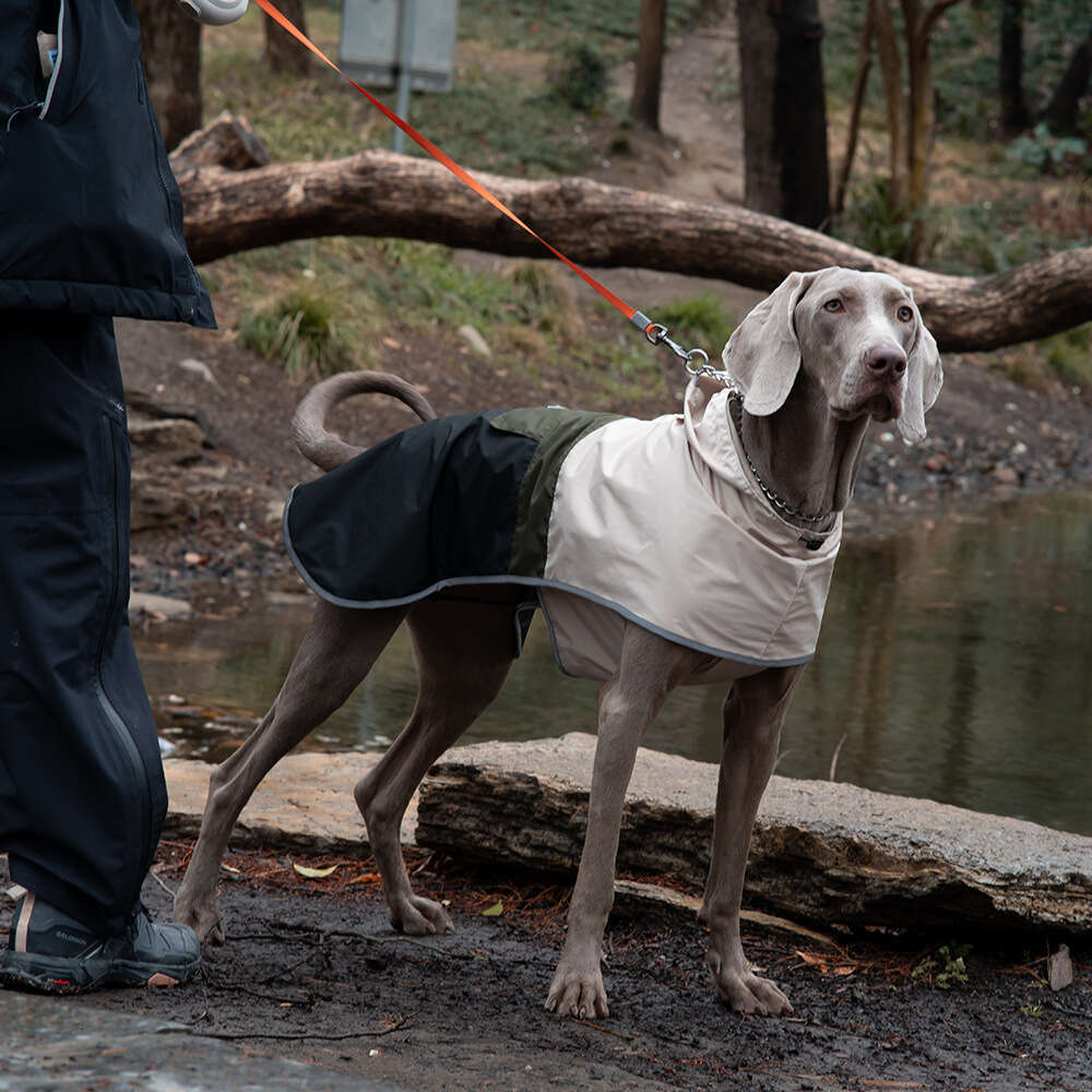 Famous brand Direct Sale Clothing Spring and Autumn Color Block Outdoor Waterproof Windproof Jacket for Large Dogs Pet Raincoat pupakaIK