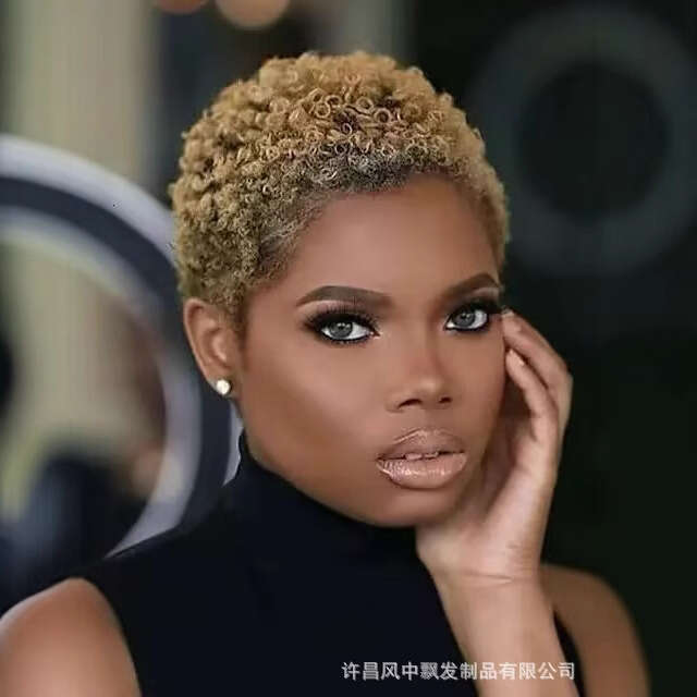 African Wig, Foreign Trade Pixie Curly Wigs SHXI