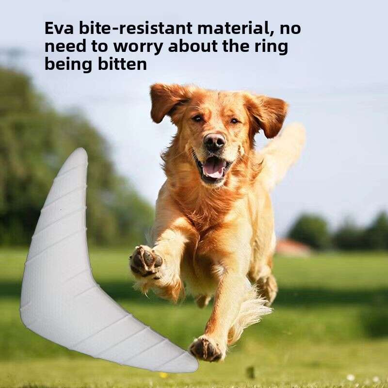 New Dog Luminous Pet Toy Outdoor Sports Interactive Soft Dart EVA Material