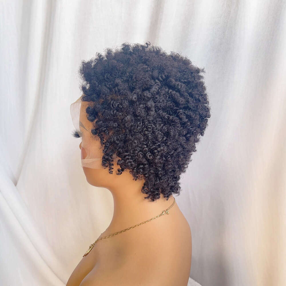 2026 Real Human Hair Lace Front Wig, African Small Curls 13*4 Caterpillar Style SHXI