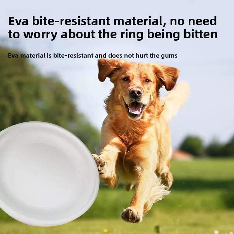 Foreign Trade Special Glow-in-the-Dark Frisbee Dog Training Pet Toy Outdoor Sports Interactive Manufacturer Wholesale