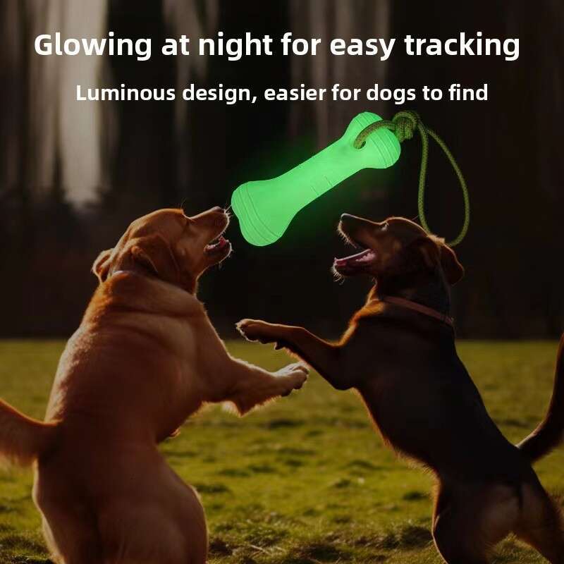 New Cross-Border Dog Training Luminous Bone with Rope Pet Toy Outdoor Sports Interactive Manufacturer Wholesale