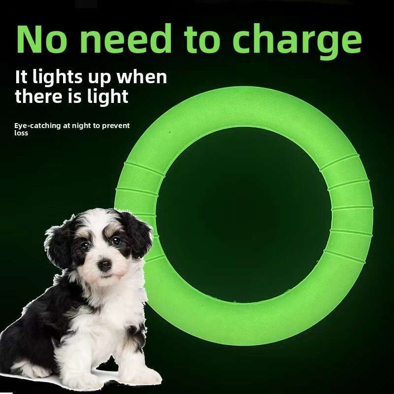 Luminous New Dog Training Pull Ring Pet Toy Outdoor Interactive Soft EVA Material Manufacturer Wholesale