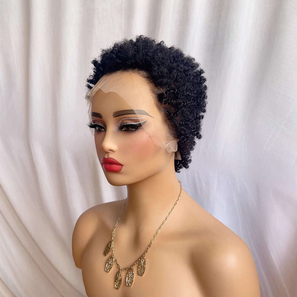 2026 Real Human Hair Lace Front Wig, African Small Curls 13*4 Caterpillar Style SHXI