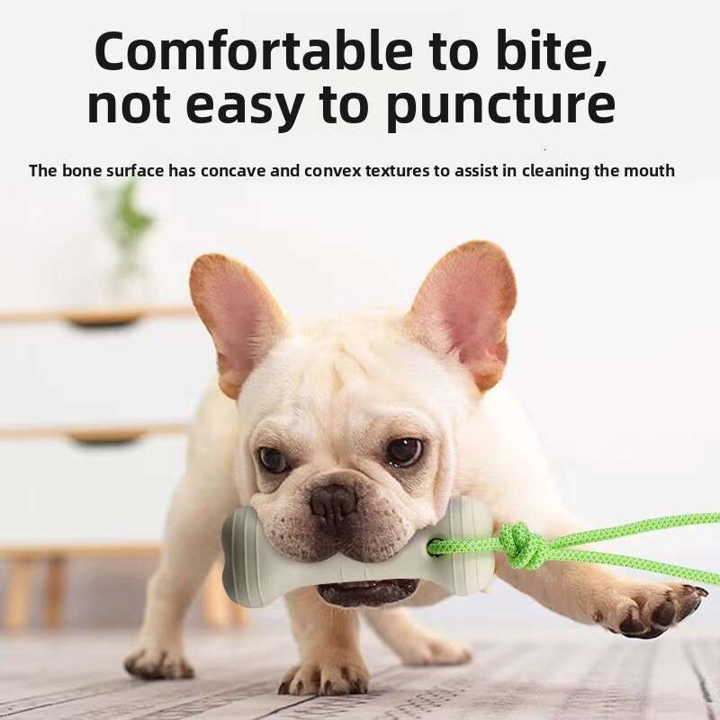 New Cross-Border Dog Training Luminous Bone with Rope Pet Toy Outdoor Sports Interactive Manufacturer Wholesale