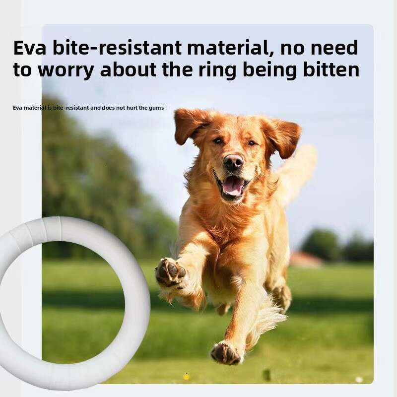 Luminous New Dog Training Pull Ring Pet Toy Outdoor Interactive Soft EVA Material Manufacturer Wholesale