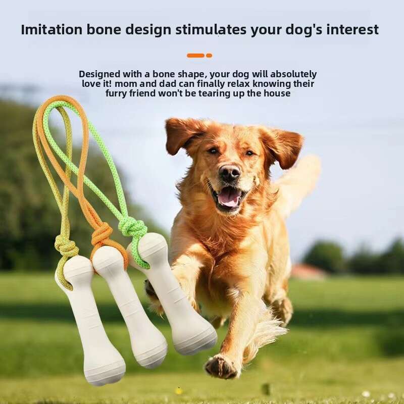 New Cross-Border Dog Training Luminous Bone with Rope Pet Toy Outdoor Sports Interactive Manufacturer Wholesale