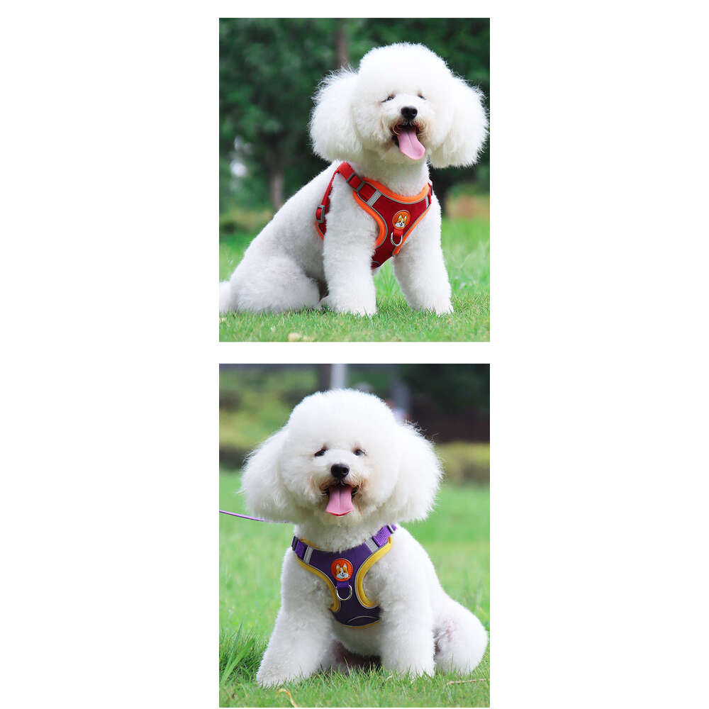 Famous brand New Pet Vest Style Puppy Harness Small Teddy Bichon Outdoor Reflective Dog Leash pupakaIK