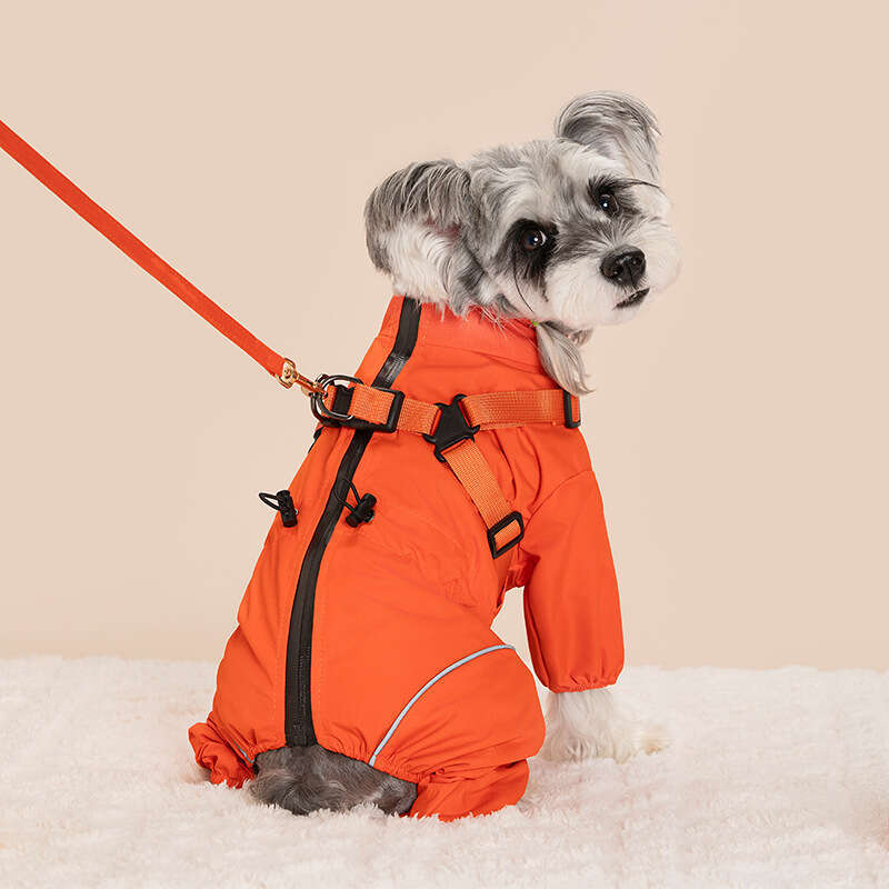Famous brand Pet windbreaker jacket for warmth cold protection four legged windproof coat with integrated chest and back harness new Amazon pet clothi