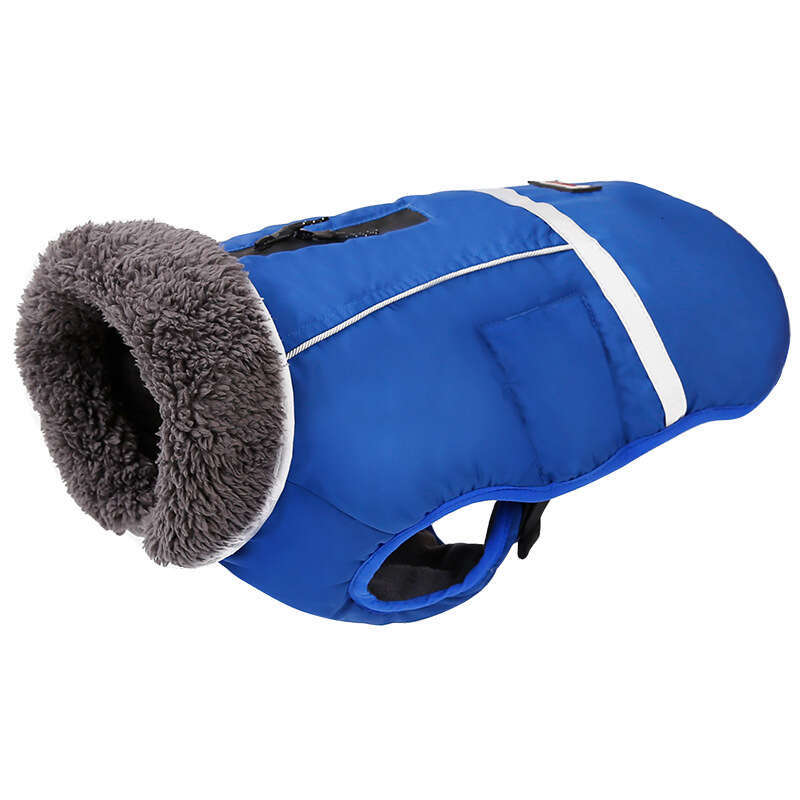 Famous brand Dolemi Clothing Autumn Winter Reflective Thickened Dog Golden Retriever French Bulldog Warm Jacket Pet Clothes pupakaIK