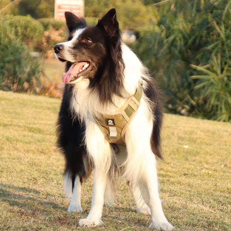 Famous brand Cross Border Explosion Proof Large Pet Anti Escape Leash Harness Dog Walking Rope pupakaIK