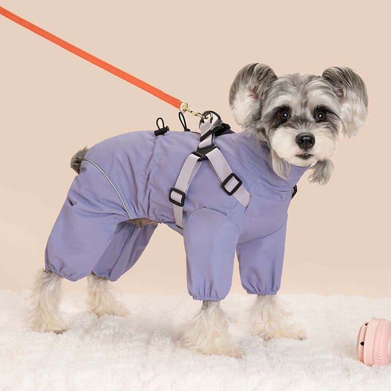 Famous brand Pet windbreaker jacket for warmth cold protection four legged windproof coat with integrated chest and back harness new Amazon pet clothi