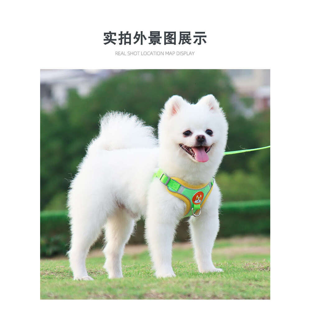 Famous brand New Pet Vest Style Puppy Harness Small Teddy Bichon Outdoor Reflective Dog Leash pupakaIK