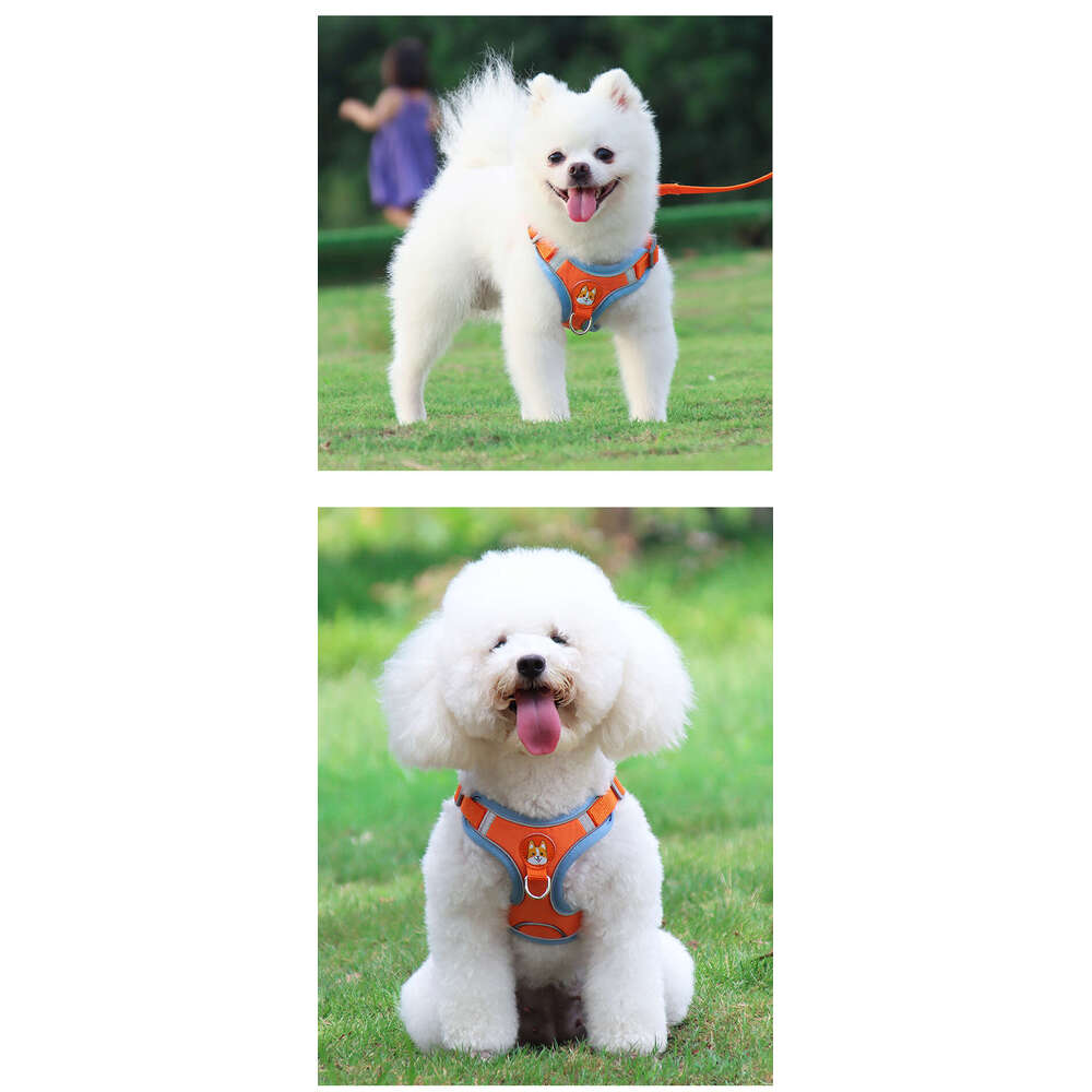Famous brand New Pet Vest Style Puppy Harness Small Teddy Bichon Outdoor Reflective Dog Leash pupakaIK