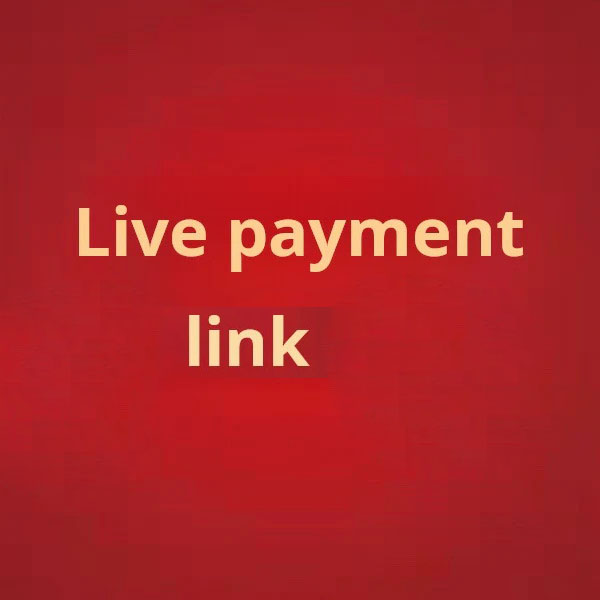 PAYMENT Link 12.5 New - Secure Online Payment Gateway for Easy Transactions new links 12.5