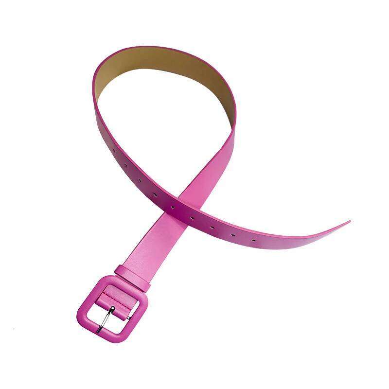 Y2k Pink for Women 2024 New Square Buckle Belt Dopamine Spicy Girl Decoration with Skirt Versatile Trend Y260225