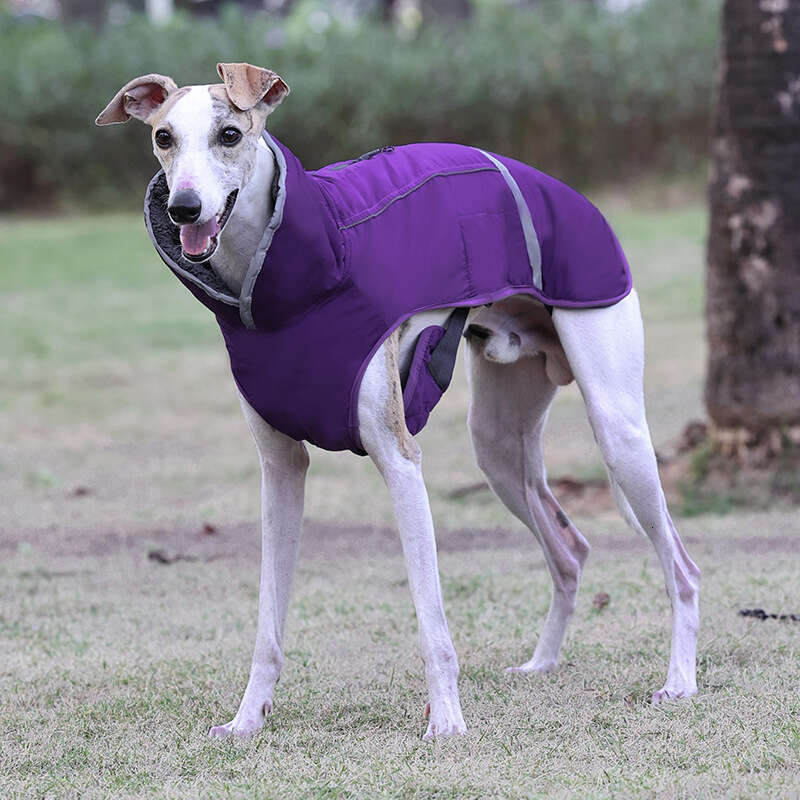 Famous brand Dolemi Clothing Autumn Winter Reflective Thickened Dog Golden Retriever French Bulldog Warm Jacket Pet Clothes pupakaIK