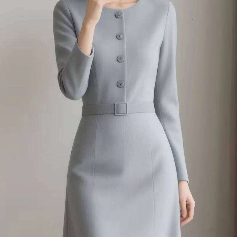 New Elegant Simple Dress Women Autumn Fashion O-Neck Sleeve Slim A-line Long Drsss Casual Office Lady Beautiful Dresses XJ260225