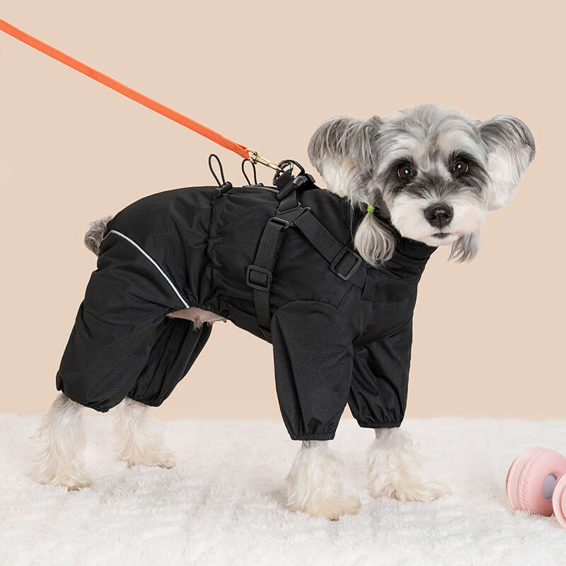 Famous brand Pet windbreaker jacket for warmth cold protection four legged windproof coat with integrated chest and back harness new Amazon pet clothi