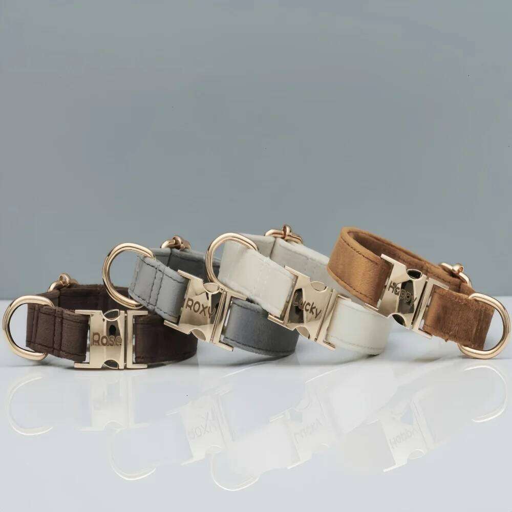 Personalized Velvet Dog Collar Super Soft ID Buckle Collars Engrave Name Pet Necklace Adjutable For Small Medium Large Dogs