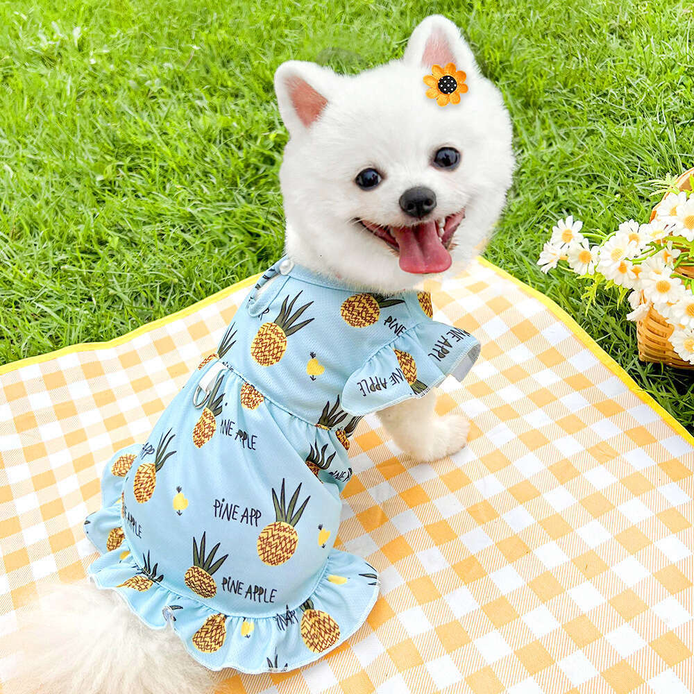 Famous brand Pet Leash Outdoor Heart Summer Dress Cat Supplies Corgi Dog Clothes Apparel pupakaIK