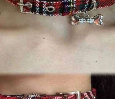 Scottish Plaid Classic Red PU Leather Earthy Yellow Twill Dog Supplies Adjustable Pet Collar