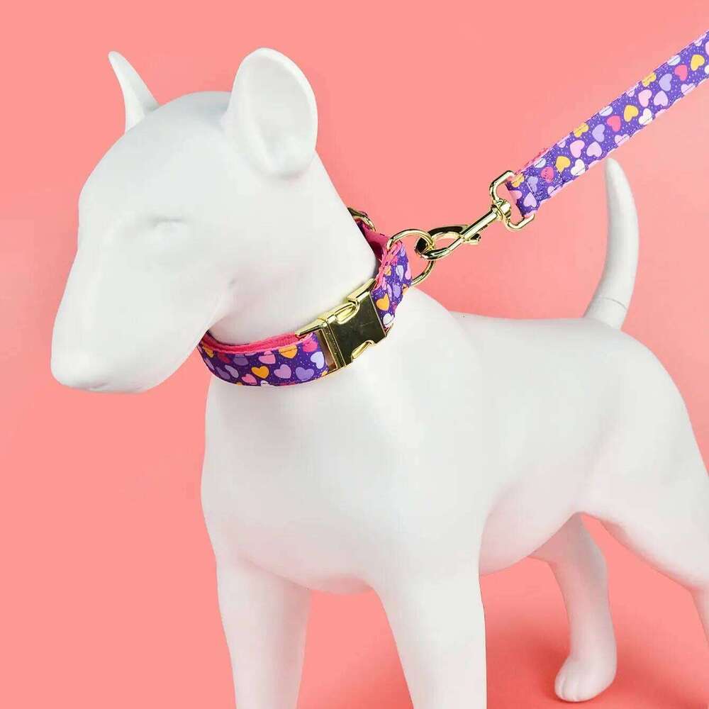 Valentine's Day and New Year's gift Luxury Brand Colorful Season Adjutable Dog Collar And Leash Set For Small Medium Large Dogs