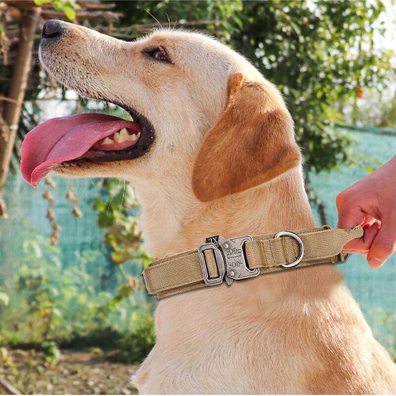 Nylon Material Durable Reflective Pet Tactical Training Collar Large Dog Leash Set