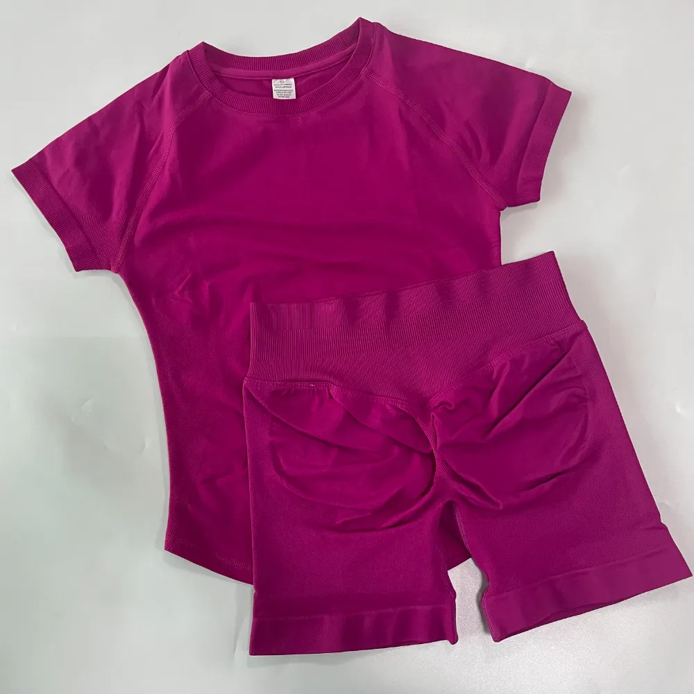 2 Pieces Women Yoga Sport Set Longline Short Sleeve Top Yoga Outfit T-shirt Crop Top Gym Clothes Seamless Design 4.5" Leg Length Low Ribbed Band 