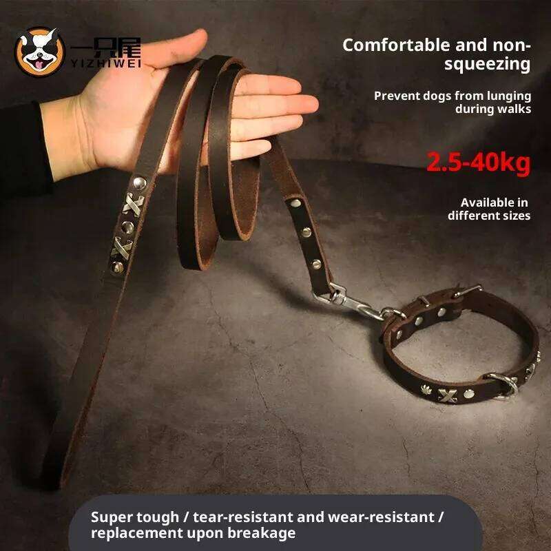 Vintage Leather Dog Set - Handcrafted Genuine Cowhide Collar & Lead Golden Retriever Malamute, Retro Training Gear for Large