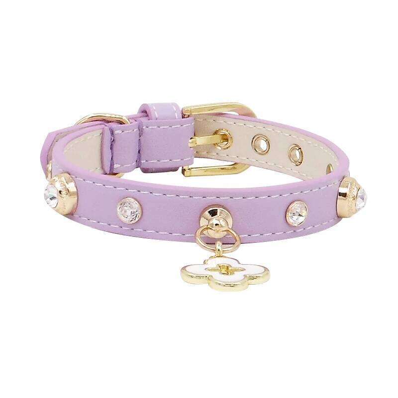 Achille Czech Diamond Nipple Nail Genuine Leather Neck Ring Teddy Schnauzer Pet Dog Collar with Metal Buckle