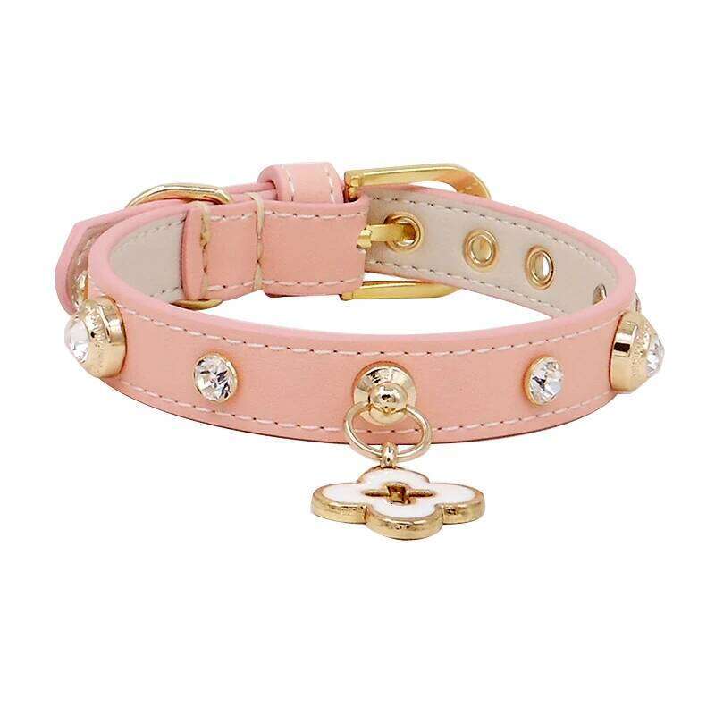 Achille Czech Diamond Nipple Nail Genuine Leather Neck Ring Teddy Schnauzer Pet Dog Collar with Metal Buckle