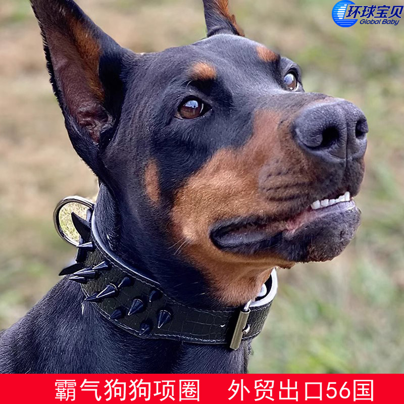 Dog Collar AntiBite Rivet Large Dog Collar Bulldog Domineering Collar Dog AntiBite Bully Dog Supplies Pet 240824