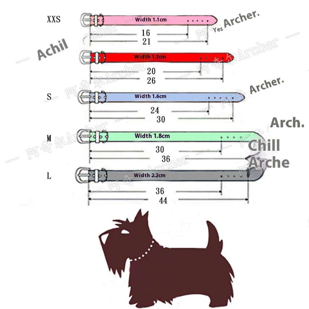 Achille Adjustable Leather Pet Teddy Cat with Metal Neck Collar Drawable Light Blue Contrast Buckle